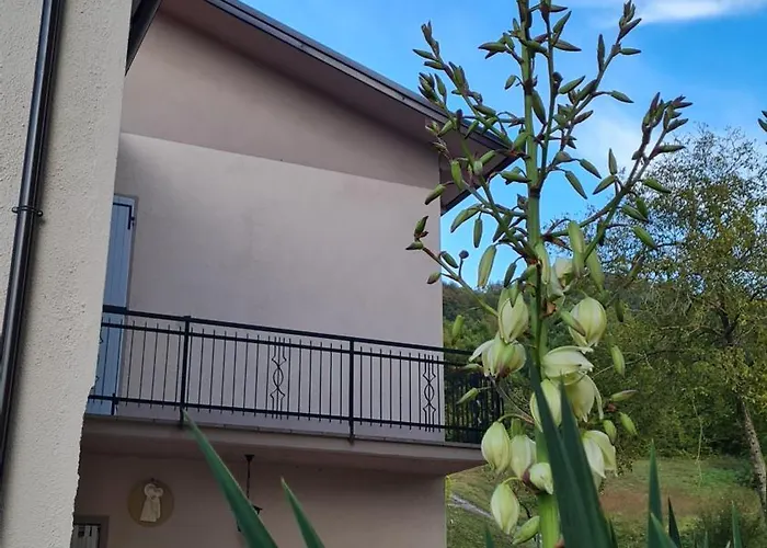 Tana della Lavanda